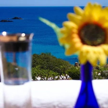 Arenal D'or Appartement