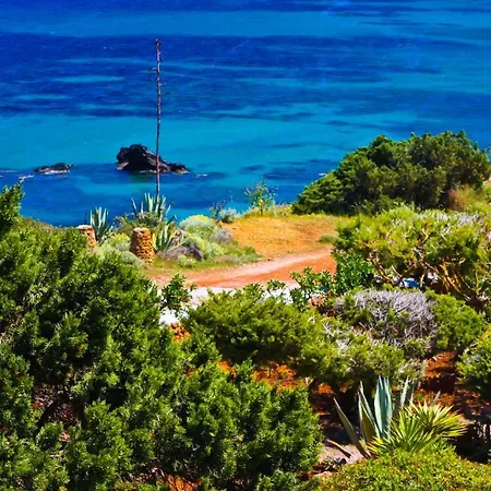 Arenal D'or Playa Des Figueral